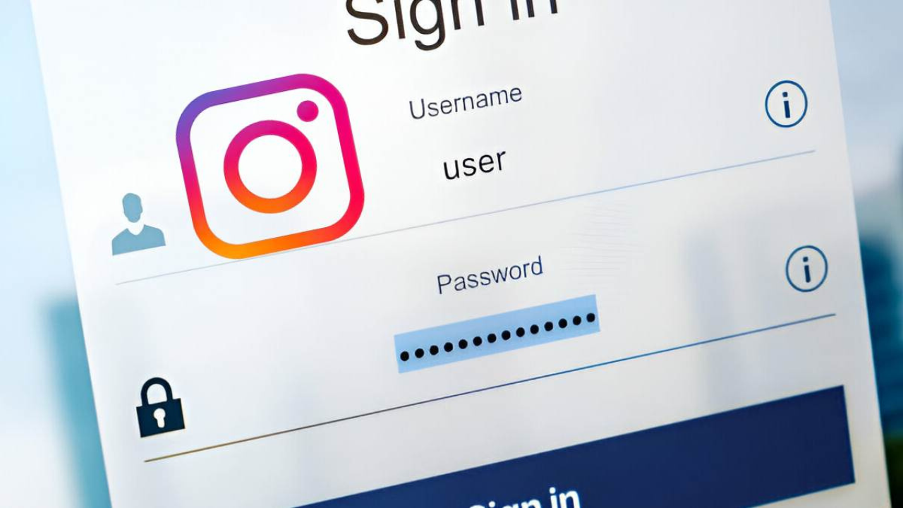 How to Use Seventhway Instagram Password Check