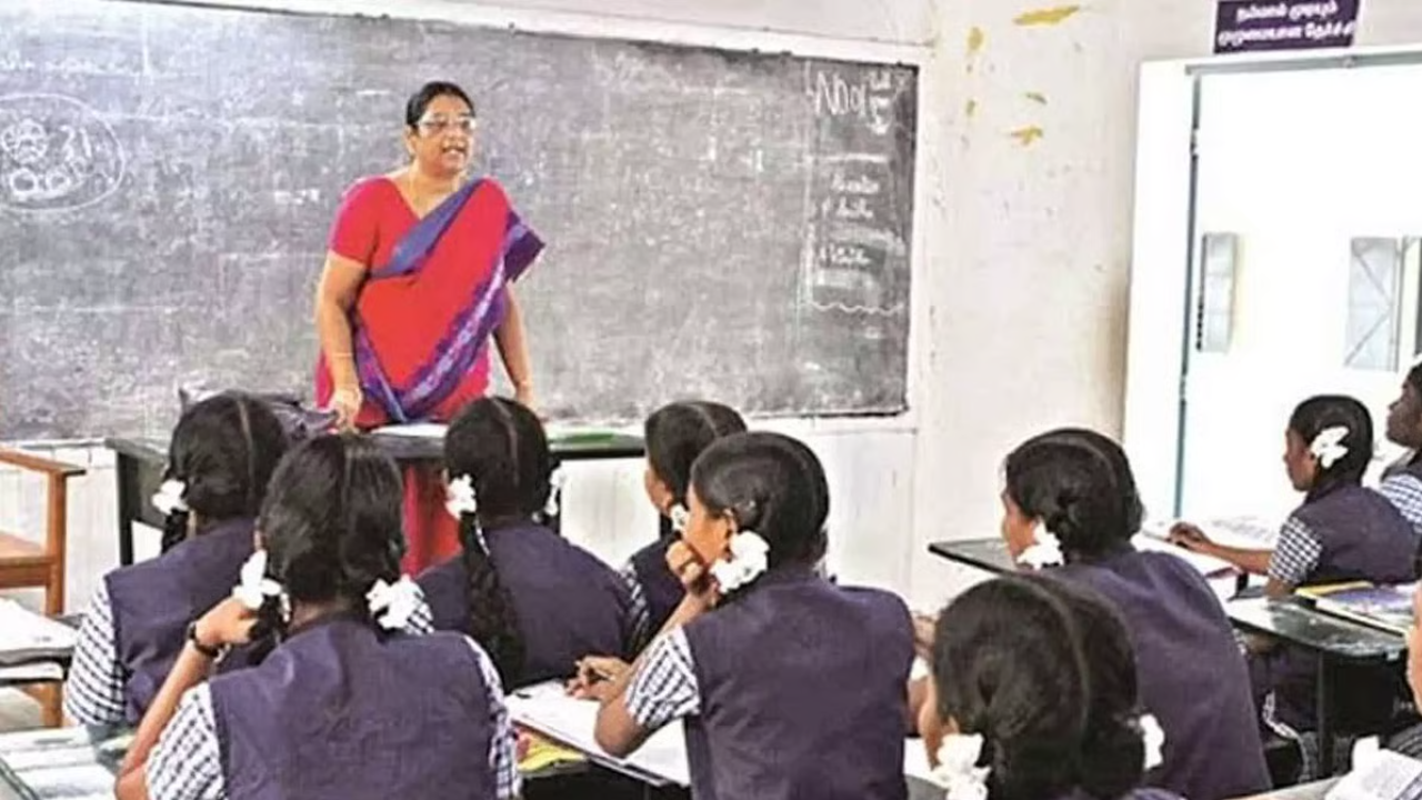 Who Can Use TN EMIS Portal?