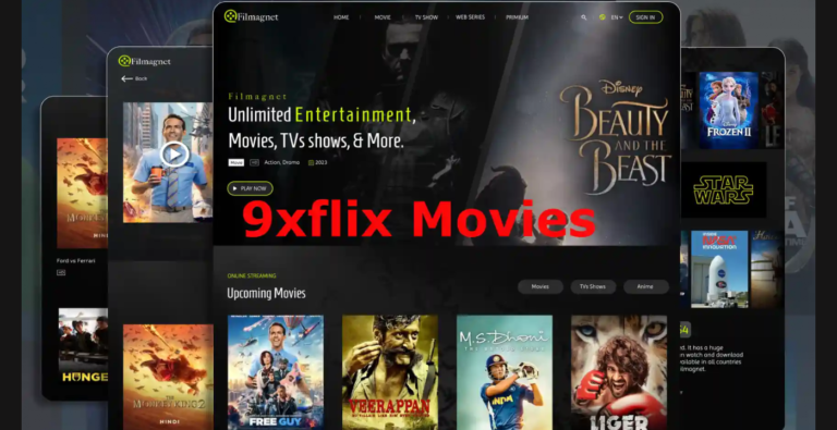 9xflix.com: Get a Review of the Online Movie Platform