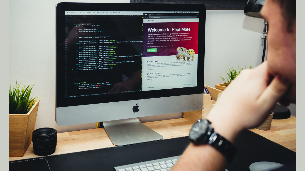 Web Design and User Experience