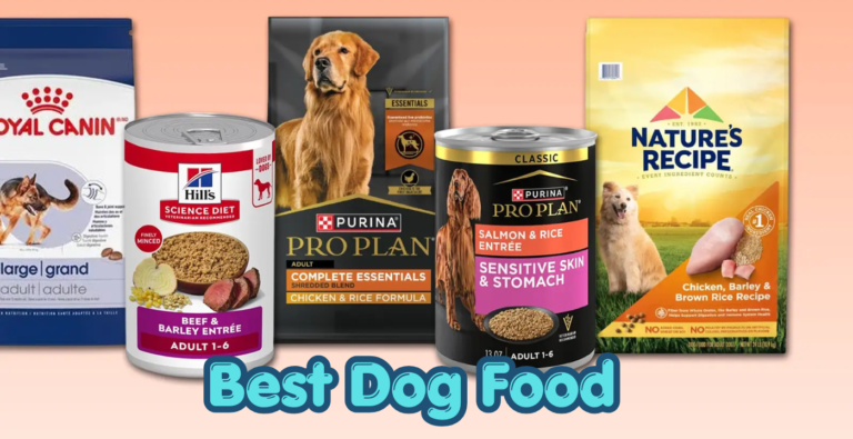 Best Dog Food: Healthiest Options for Your Dog