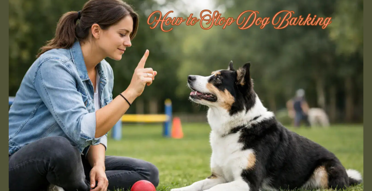 How to Stop Dog Barking: A Kind and Effective Training Plan