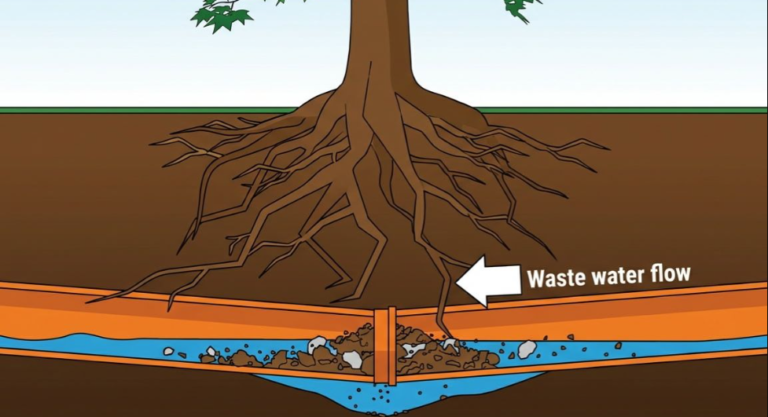 Sewer Line Repair in San Antonio